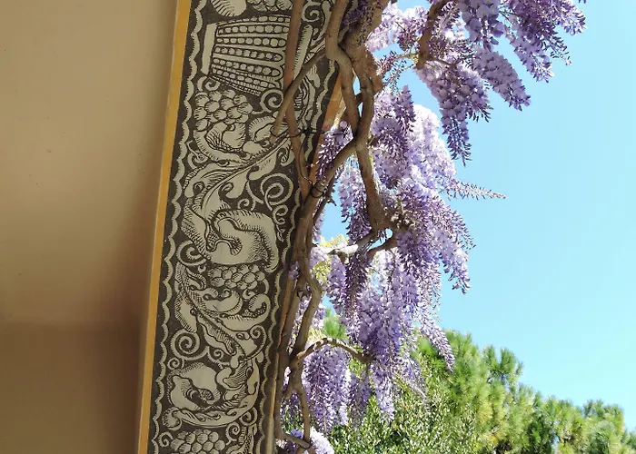 Mas Djoliba Αντίμπ