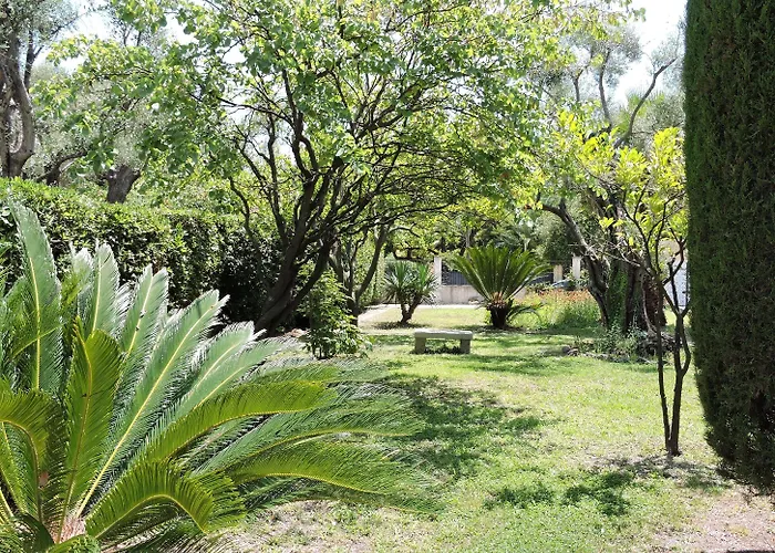 Mas Djoliba 호텔