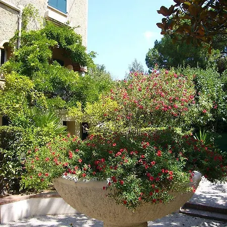 Отель Mas Djoliba 3*